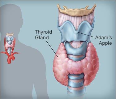 Improving thyroid function with LLLT
